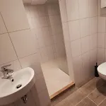 Monteurzimmer / Apartment Im Souterrain Berlin Neukoelln